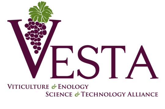 Vesta logo purple
