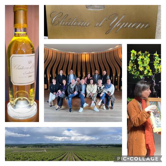 MBA trip to Bordeaux, France collage