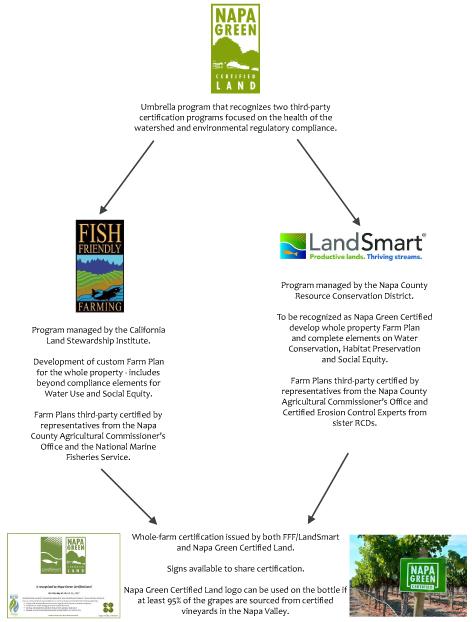 Napa Green graphic